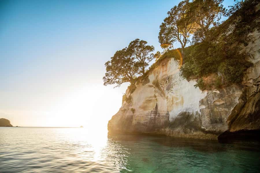 Auckland: Coromandel Driving Creek & Cathedral Cove Day Tour - Should you book it