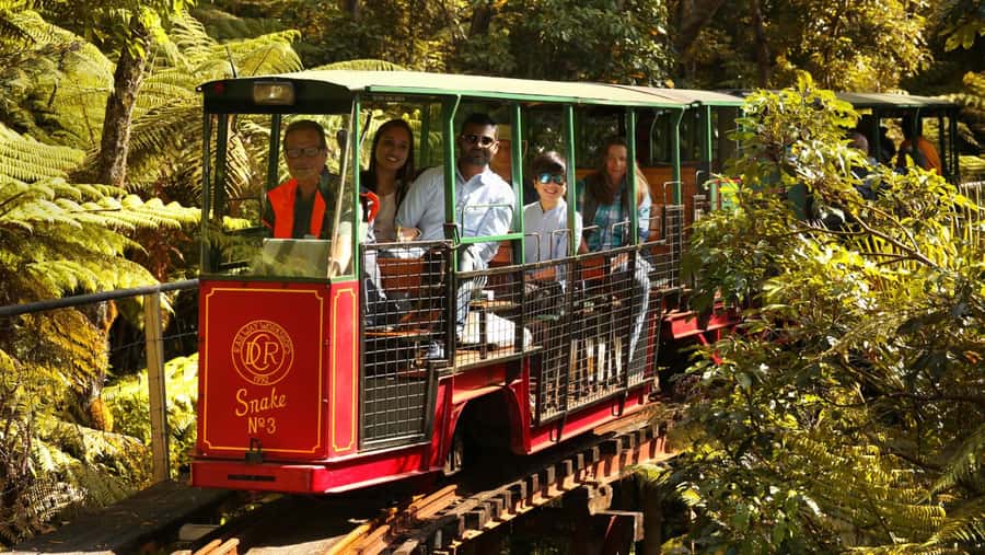 Auckland: Coromandel Driving Creek & Cathedral Cove Day Tour - Lost Springs thermal pools and Whitianga: the break that keeps the day human
