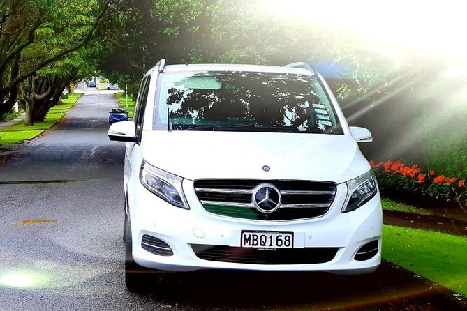 Auckland Cruise/Wharf & Airport Transfers - What This Auckland Transfer Is Really For