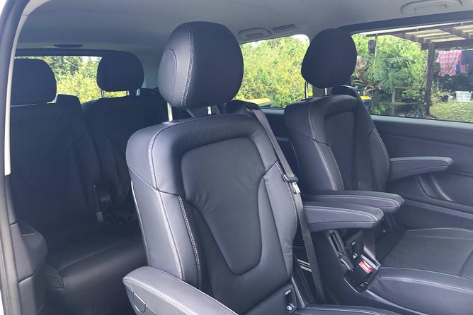 Auckland Cruise/Wharf & Airport Transfers - Airport Pickup With a 60-Minute Waiting Window