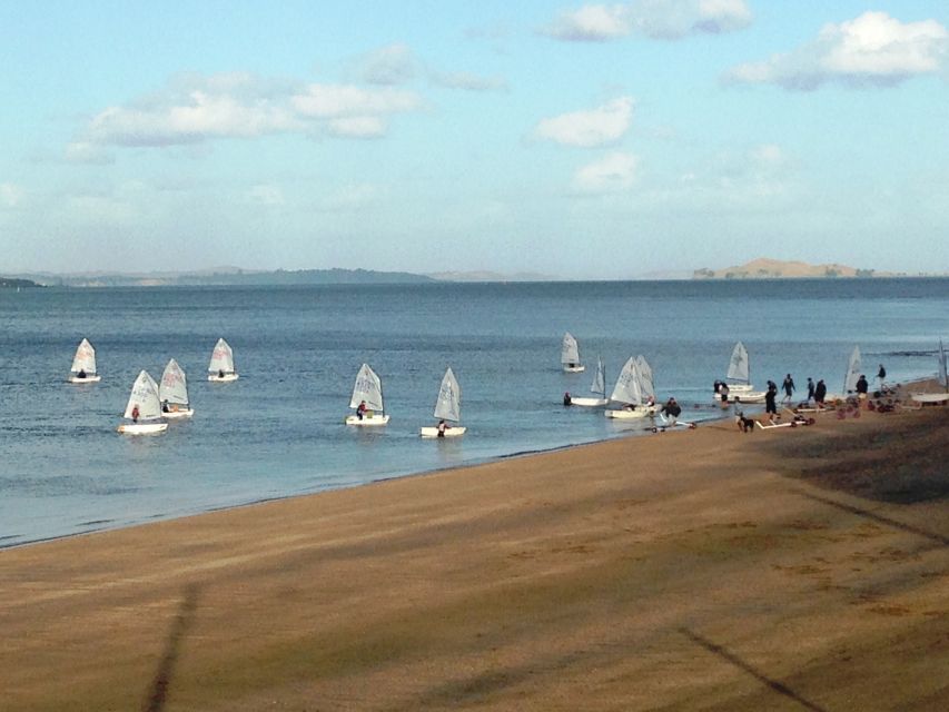 Auckland: Devonport Waterfront Segway - Who this tour suits best