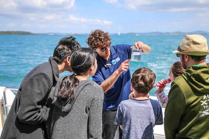 Auckland Dolphin and Whale Watching Eco-Safari Cruise - What you’re actually looking for: whales, dolphins, seals, penguins, and seabirds