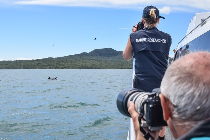 Auckland Dolphin and Whale Watching Eco-Safari Cruise - The conservation angle: what your ticket funds beyond the trip