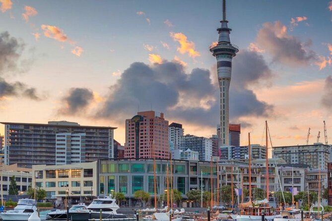 Auckland Downtown Hotel Transfers to/from Cruise Ship in Minivan - The drive: 15 minutes that fix your whole day