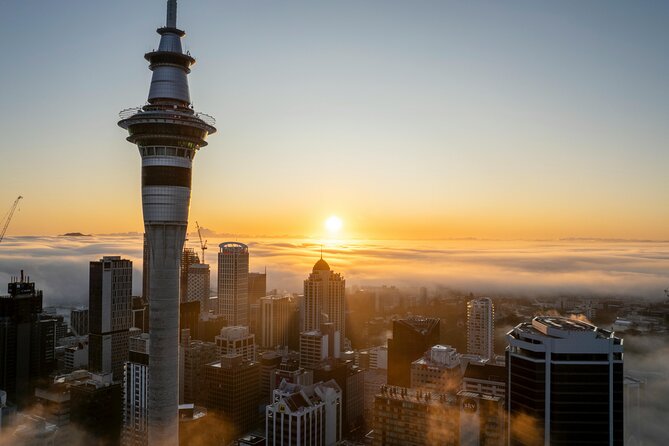 Auckland Full Day Attractions & Museums Tour - Entering Auckland: Why This Day-Trip Mix Works