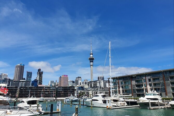 Auckland Full Day Attractions & Museums Tour - Mount Eden (Maungawhau): The Viewpoint That Gives You Bearings