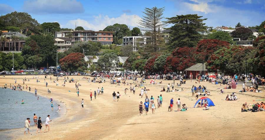 Auckland: Full-Day City Tour - Key things to know before you go