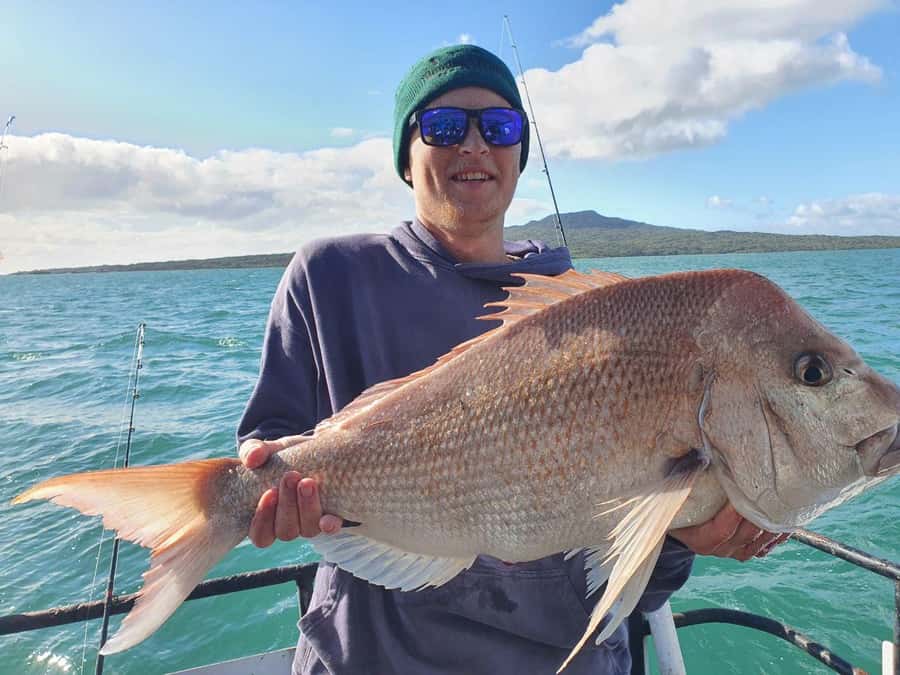 Auckland: Full-Day Fishing Charter (7 am - 4 pm) - Key takeaways before you cast a line