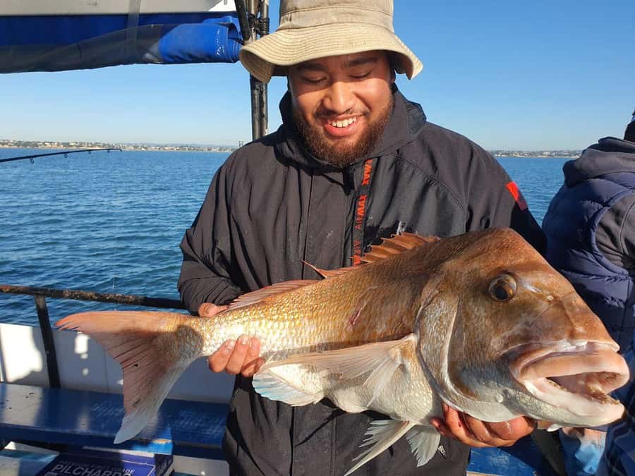 Auckland: Full-Day Fishing Charter (7 am - 4 pm) - The 7:00 AM–4:00 PM flow: what happens during a full day charter