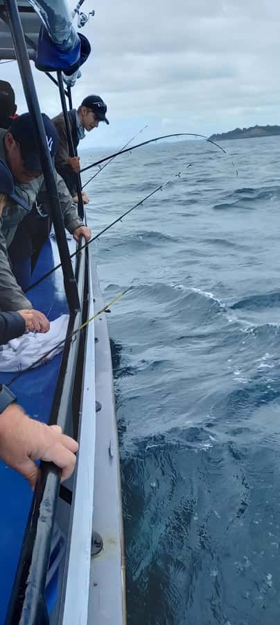 Auckland: Full-Day Fishing Charter (7 am - 4 pm) - Rods, bait, and tackle: the stuff that can make or break your day