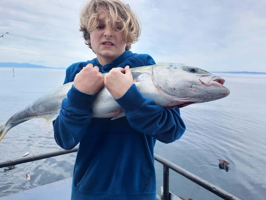 Auckland: Full-Day Fishing Charter (7 am - 4 pm) - The target fish: snapper, kahawai, gurnard, and more
