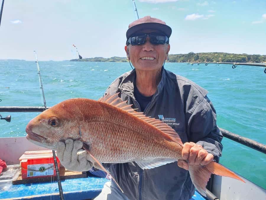 Auckland: Full-Day Fishing Charter (7 am - 4 pm) - The experience-provider factor: The Red Boats Auckland approach