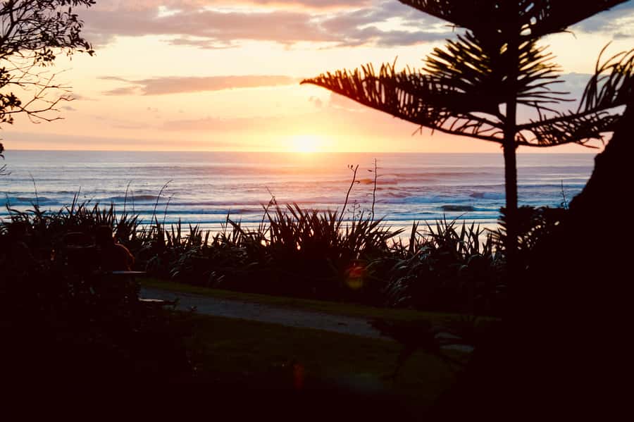 Auckland: Group Surfing Lesson with Muriwai Surf School - Price and value: is $41 worth it?
