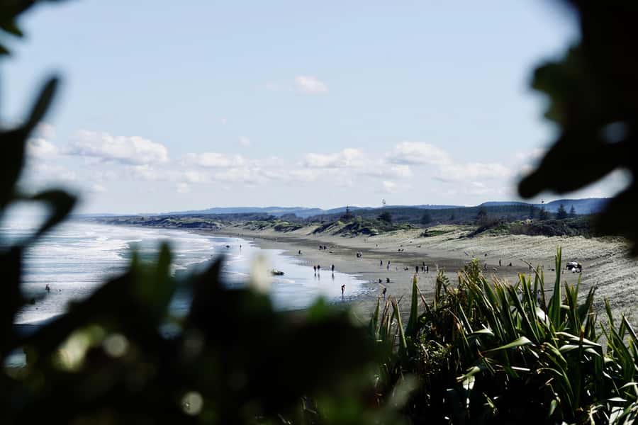 Auckland: Group Surfing Lesson with Muriwai Surf School - Should you book Muriwai Surf School’s Intro Lesson?