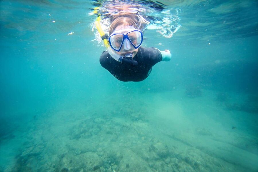 Auckland: Guided Snorkeling and Island Exploration Tours - Key highlights worth marking on your map