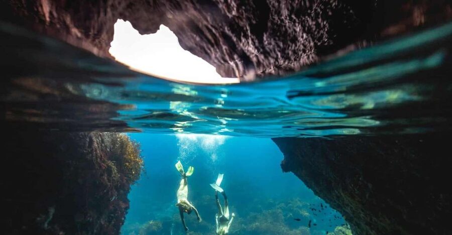 Auckland: Guided Snorkeling and Island Exploration Tours - Why Tiritiri Matangi feels like a small-world adventure
