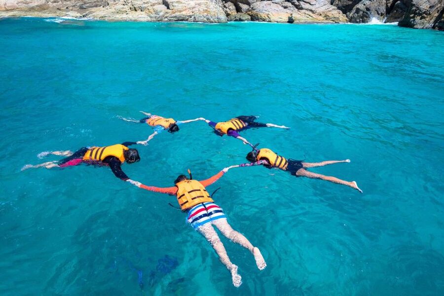 Auckland: Guided Snorkeling and Island Exploration Tours - Snorkeling in clear Hauraki Gulf water: what the session is like