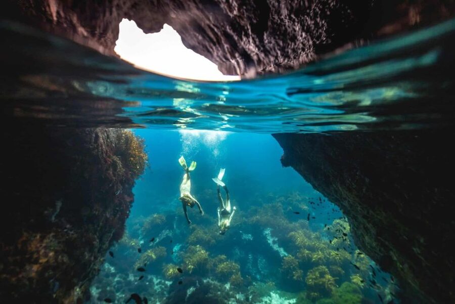 Auckland: Guided Snorkeling and Island Exploration Tours - Getting to the wharf: ferry timing and meeting your guide