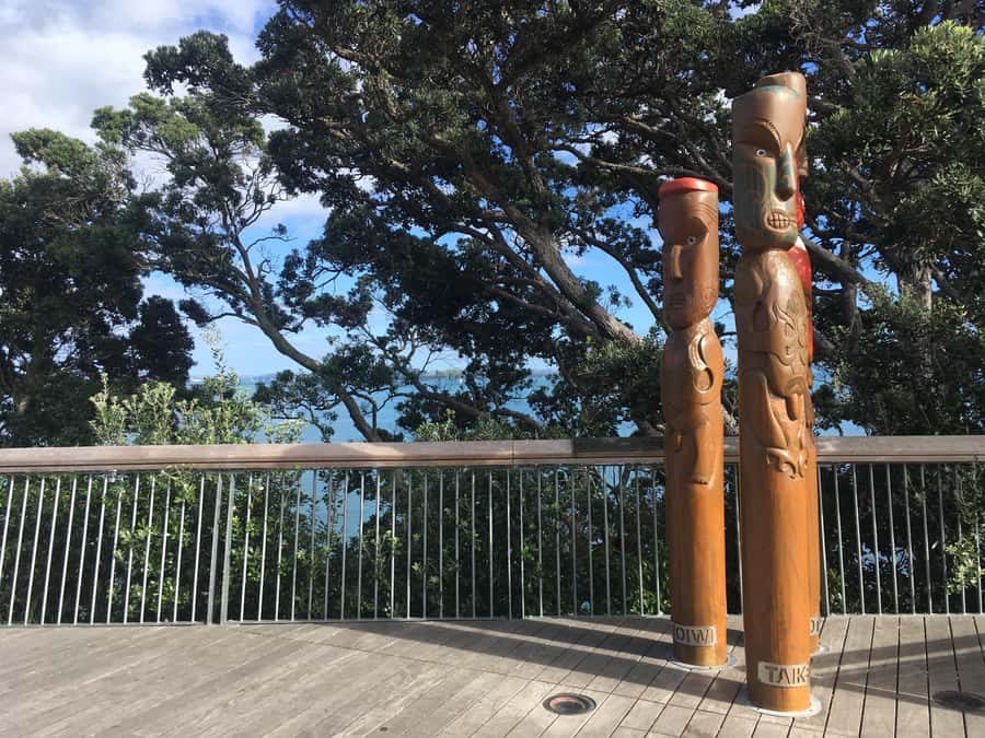 Auckland: Half-Day Auckland Volcanoes Tour - What you do on this Auckland half-day volcano tour