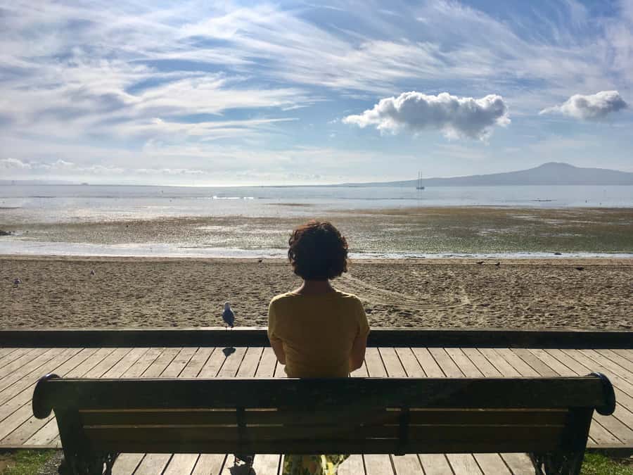 Auckland: Half-Day Auckland Volcanoes Tour - Getting picked up at Queens Wharf and staying on cruise time