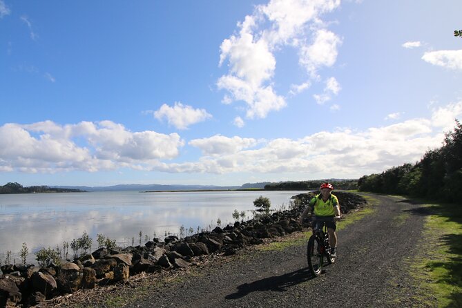 Auckland Half Day E-Bike Excursion - Where It Starts: 136 Fanshawe Street and That First Waterfront Glide