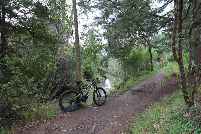 Auckland Half Day E-Bike Excursion - Te Atatu Peninsula Loop: Coffee, Moning Tea, and City Views
