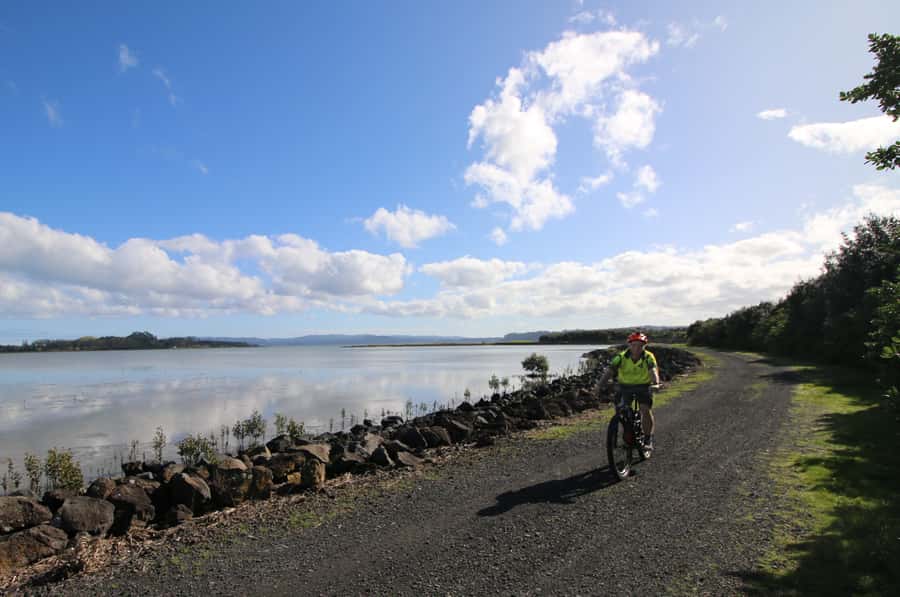 Auckland Half-Day Ebike Tour Excursion - Meola Reserve and Te Atatu Peninsula: viewpoint riding, not viewpoint hiking
