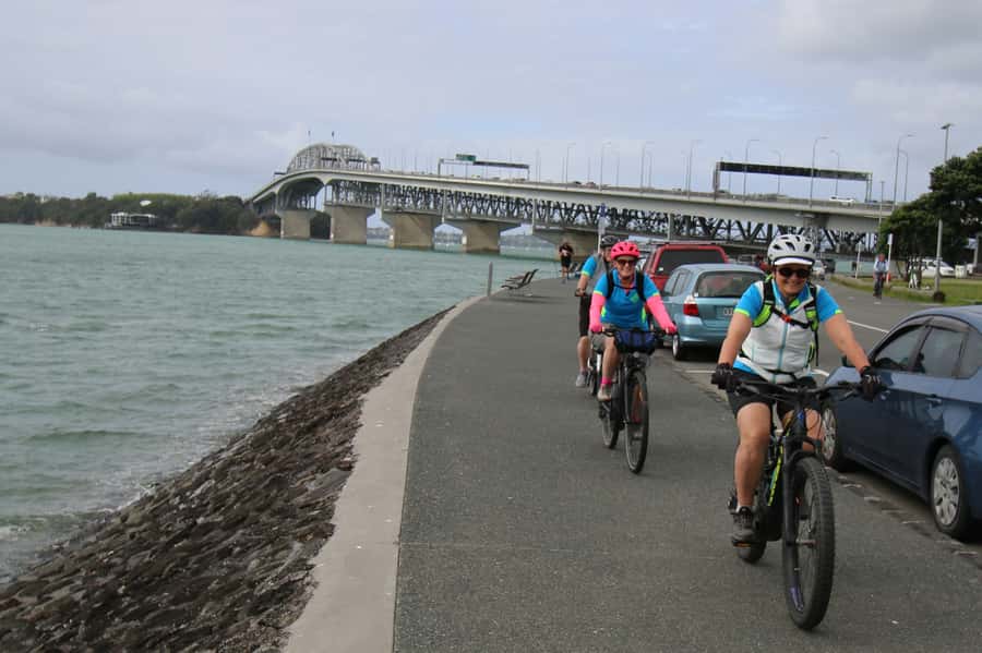 Auckland Half-Day Ebike Tour Excursion - Western suburbs back pathways: the Auckland feel you only get on two wheels