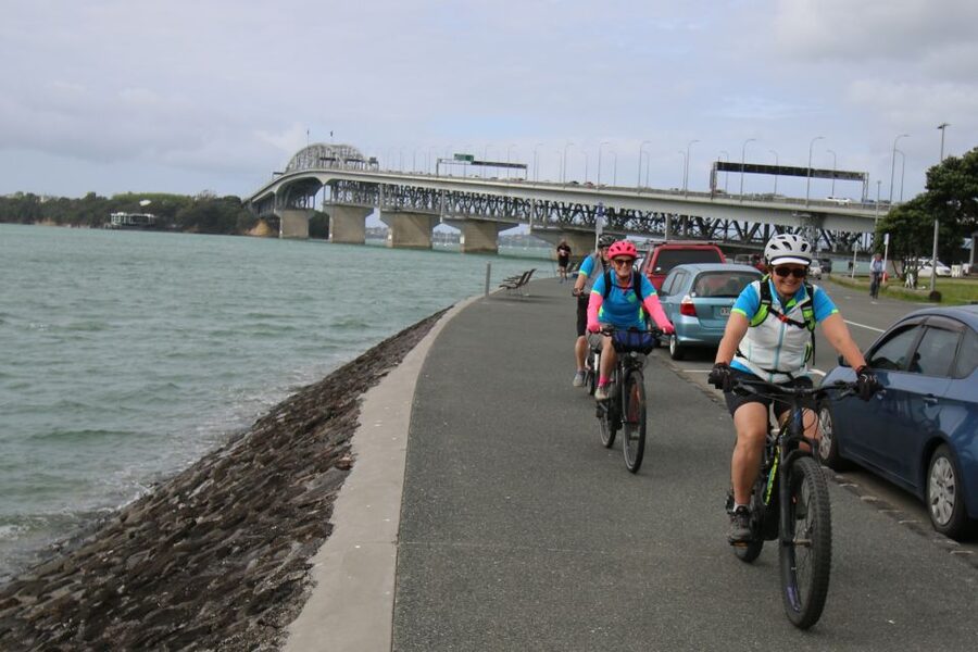 Auckland Half-Day Ebike Tour Excursion - Ebike comfort, support wagon, and the practical side of feeling safe