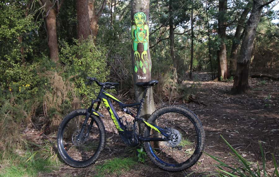Auckland Half-Day Ebike Tour Excursion - Western Springs: Auckland’s big lake moment at the midway point