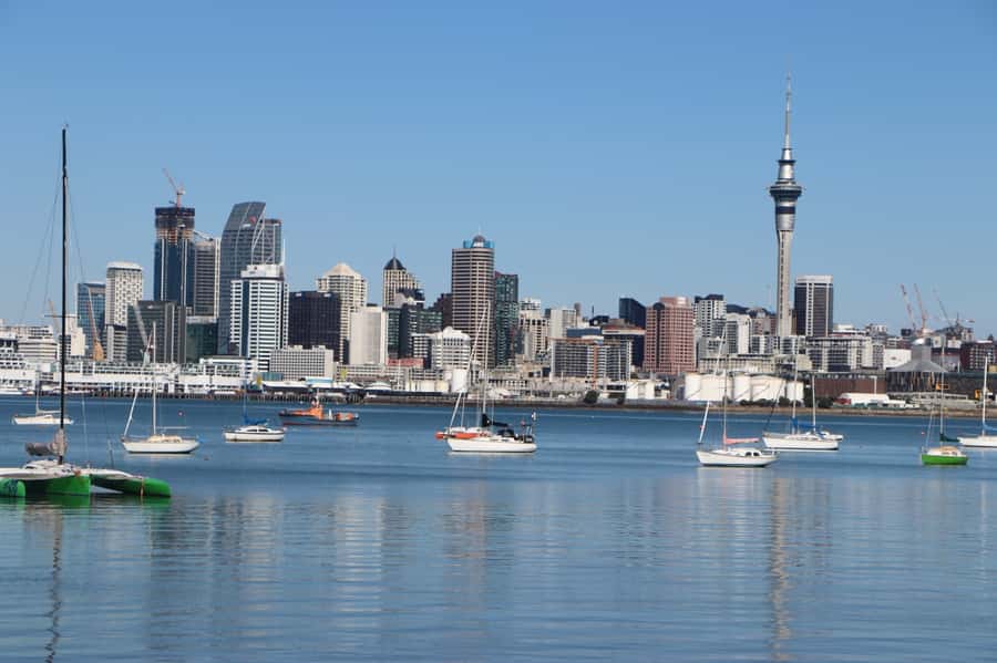 Auckland: Half-Day Scenic Sightseeing Tour - Devonport and the North Shore: villas, history clues, and seaside views
