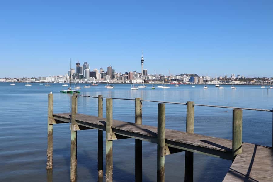 Auckland: Half-Day Scenic Sightseeing Tour - Orakei Basin and the older-suburb storytelling