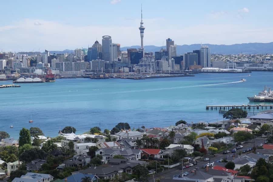 Auckland: Half-Day Scenic Sightseeing Tour - Minivan comfort, group size, and why timing matters