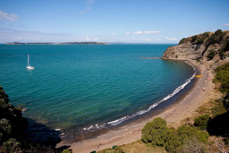 Auckland: Half-Day Sea Kayak Tour to Motukorea Island - Key things I’d do first