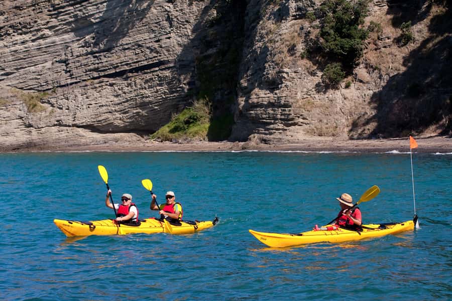 Auckland: Half-Day Sea Kayak Tour to Motukorea Island - The Paddle to Motukorea/Browns Island: What It Feels Like