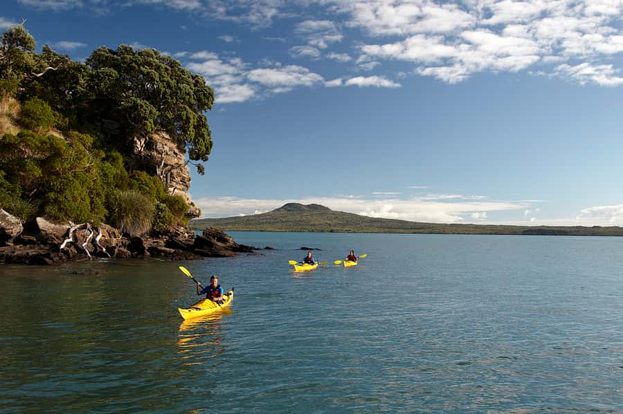 Auckland: Half-Day Sea Kayak Tour to Motukorea Island - From St Heliers to the Water: Meeting Point and What to Wear
