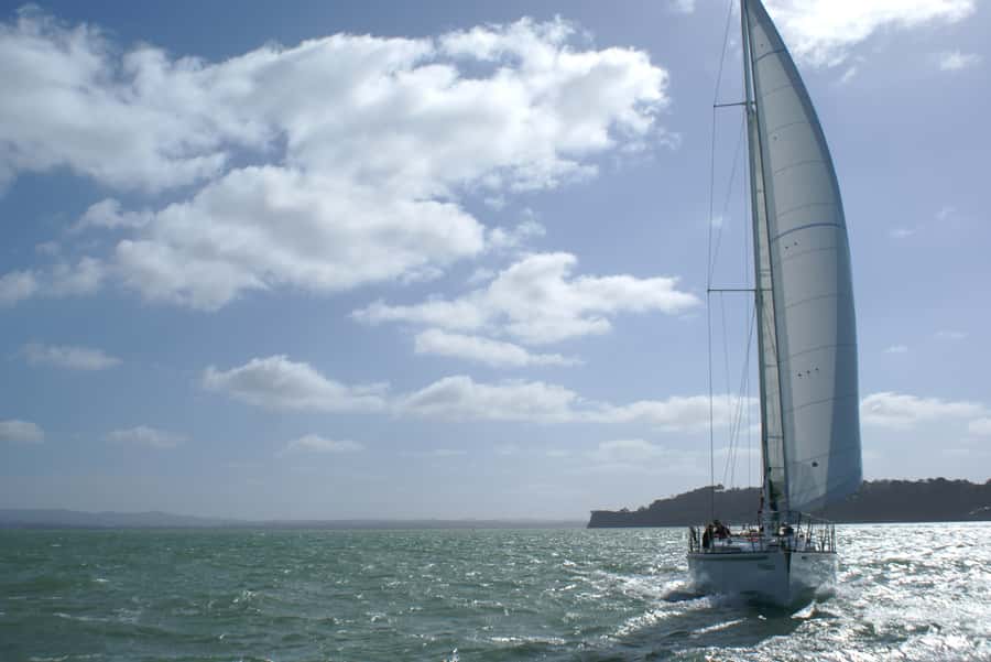 Auckland Harbour 1.5-Hour Sailing Cruise - How long is enough for Auckland’s waterfront?