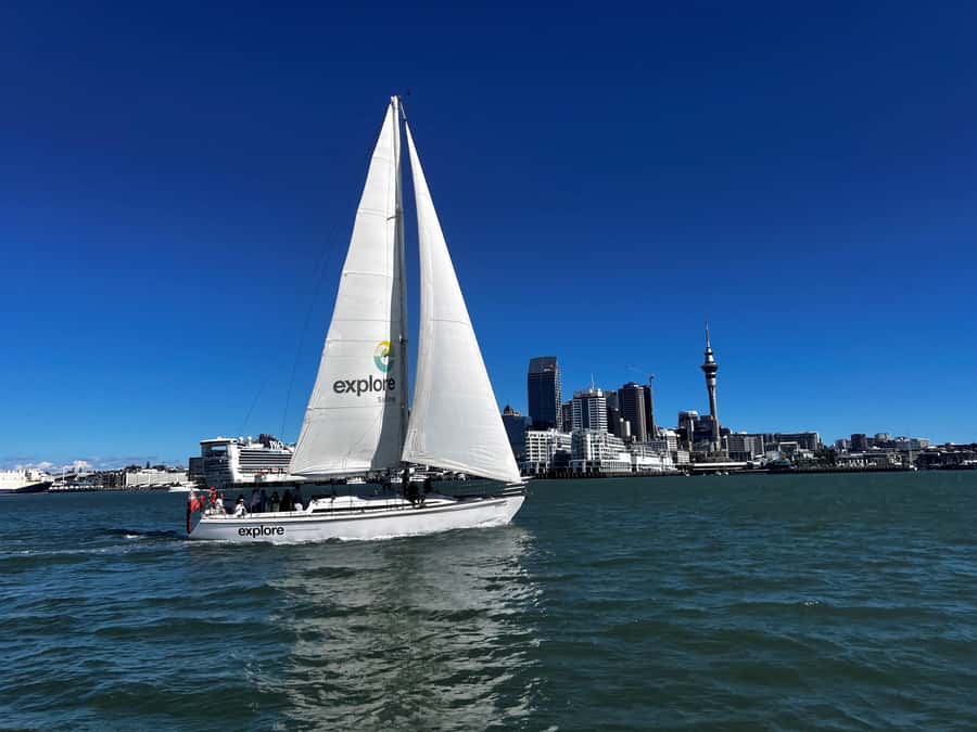 Auckland Harbour 1.5-Hour Sailing Cruise - Meeting at Viaduct Harbour: where to start smoothly