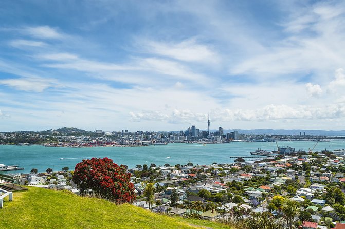 Auckland Harbour Cruise - Timing and Duration: Why 90 Minutes Works