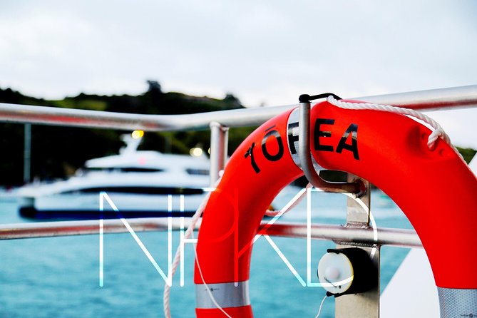 Auckland Harbour Cruise - Weather Reality: Dress for Wind and Rain