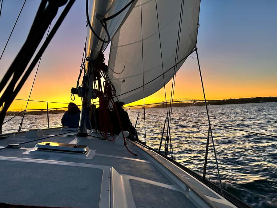 Auckland: Harbour Sailing Cruise with 3-Course Dinner - The 50ft yacht experience: sails, steering, and staying warm