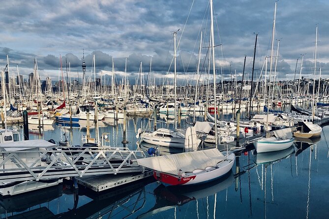 Auckland Highlight Attractions Small Group Tour - Mission Bay: a beach break with skyline views