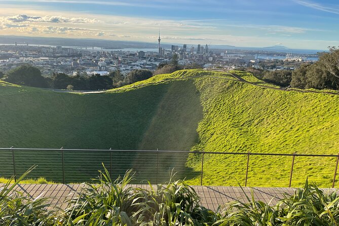 Auckland Highlight Attractions Small Group Tour - Price and group size: what you’re really paying for at $125