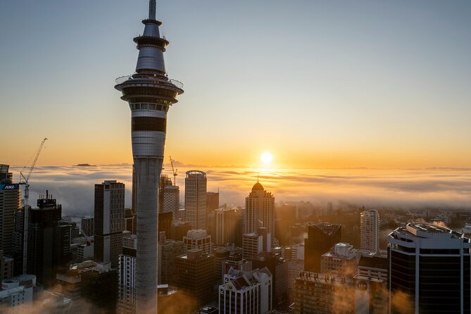 Auckland Highlight Attractions Small Group Tour - Getting the best day: timing, weather, and comfort tips