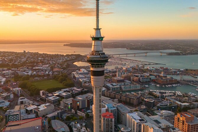 Auckland Highlight Attractions Small Group Tour - Auckland Harbour Bridge: the city’s connection in 30 minutes
