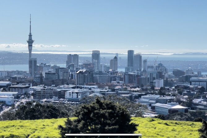 Auckland Highlight Fullday City Tour - Price and Logistics: What You’re Really Paying For
