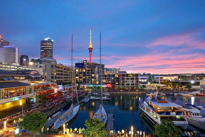 Auckland Highlight Fullday City Tour - Mt Eden and One Tree Hill: Auckland’s Big-View Training Wheels