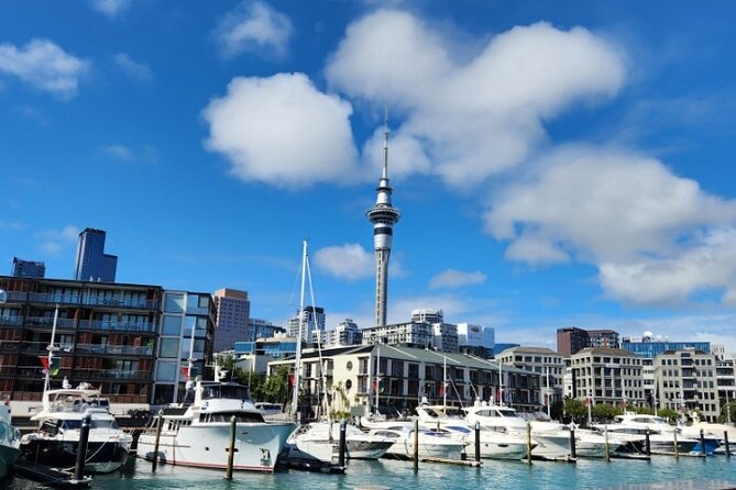 Auckland Highlights Full Day Guided Tour - Private Auckland Highlights: Why This 8-Hour Mix Works