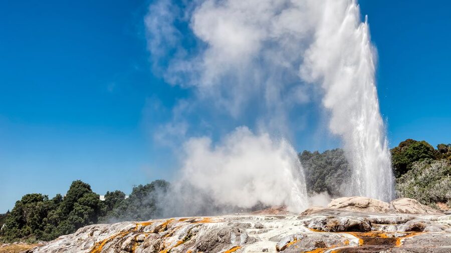 Auckland: Hobbiton and Rotorua Day Tour including Te Puia - Comfort, timing, and what to pack for a 13-hour push