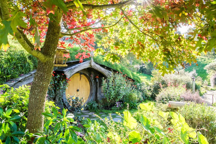 Auckland: Hobbiton Movie Set Tour with Lunch - Key things I’d plan around